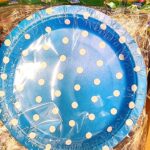 اطباق جاتوه - ازرق ونقط بيضة
